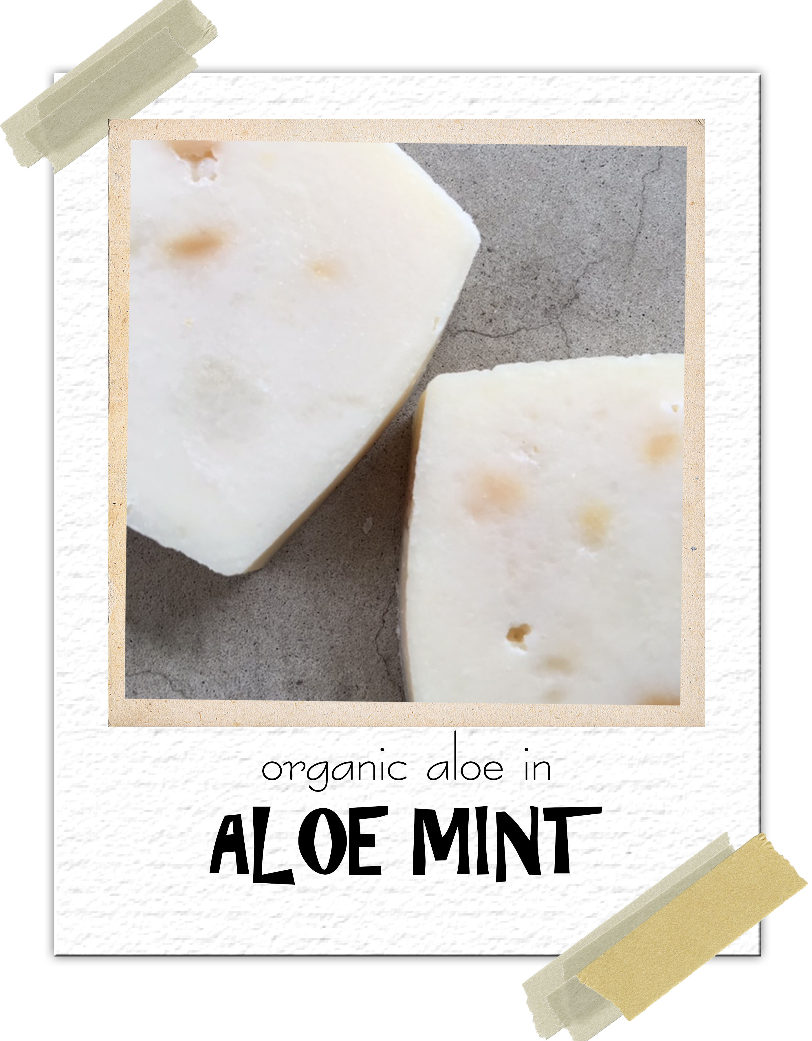 「アロエミント」「ハニーオートミール」ひさびさの登場！