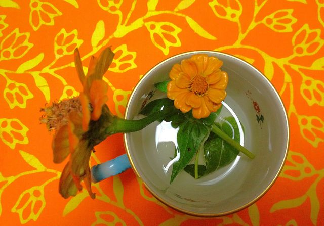 百日草　自然の色　＋気泡の入ったグリーンのガラスの小瓶.底に象さんのマーク入り
