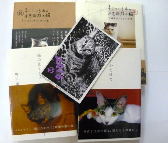 ネコ本入荷しております