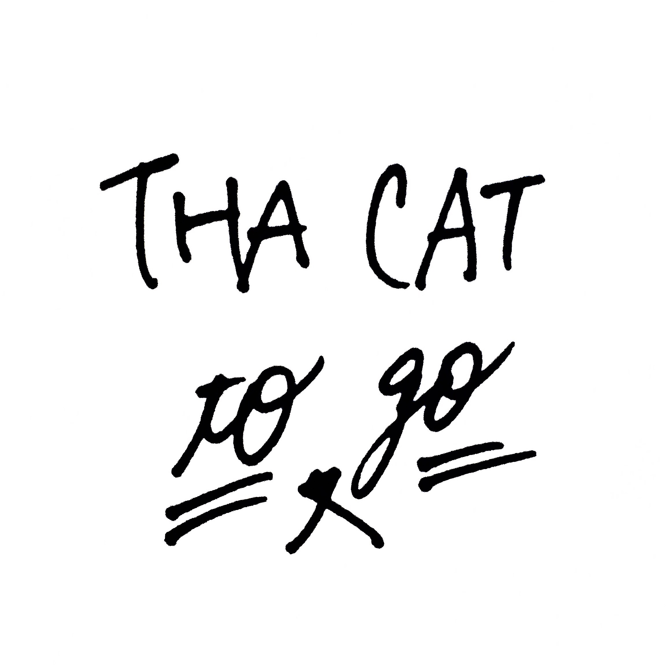 The 1st Anniversary of THA CAT to go project