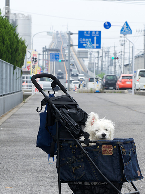 おでかけ　〜鳥取その２〜