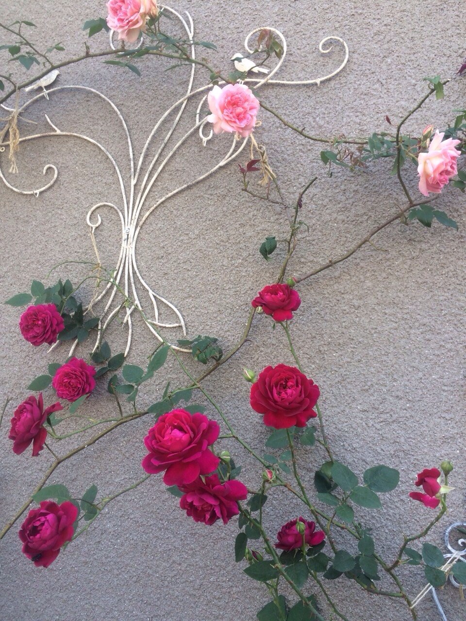 美しい唇である為には 美しい言葉を使いなさい 美しい瞳である為には 他人の美点を探しなさい Popkimy