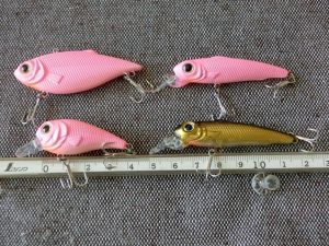雨の日、風の日にも、負けず