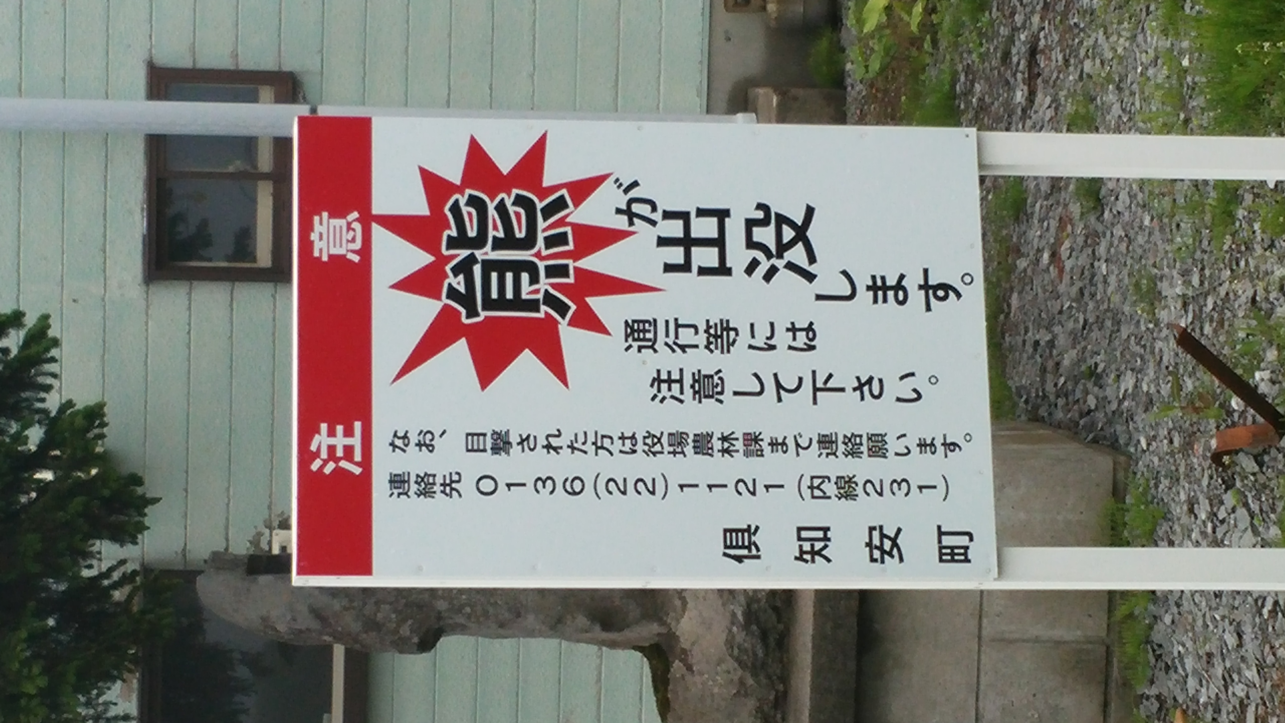 渓流での不思議な話