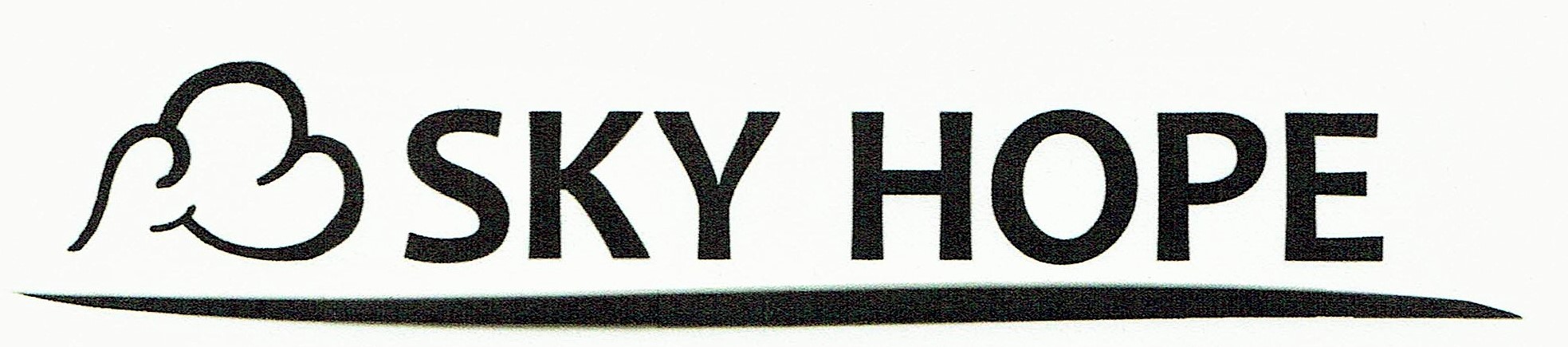 「SKYHOPE」という社名について