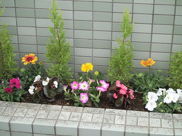 花壇の植え込み。